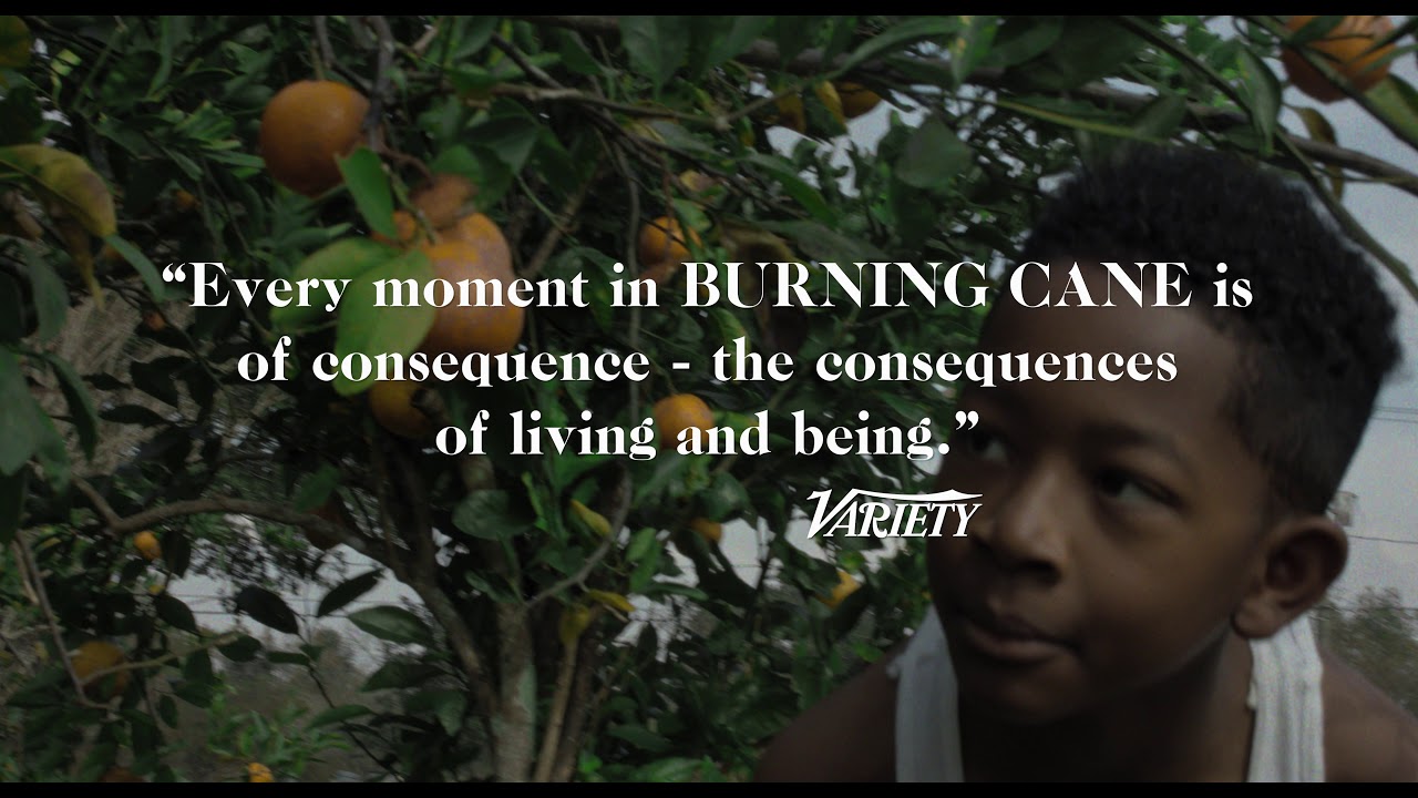 Burning Cane
