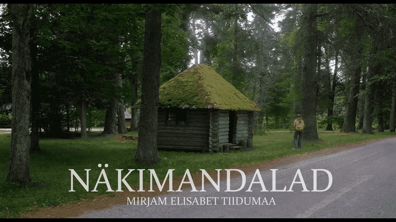 Nixieland