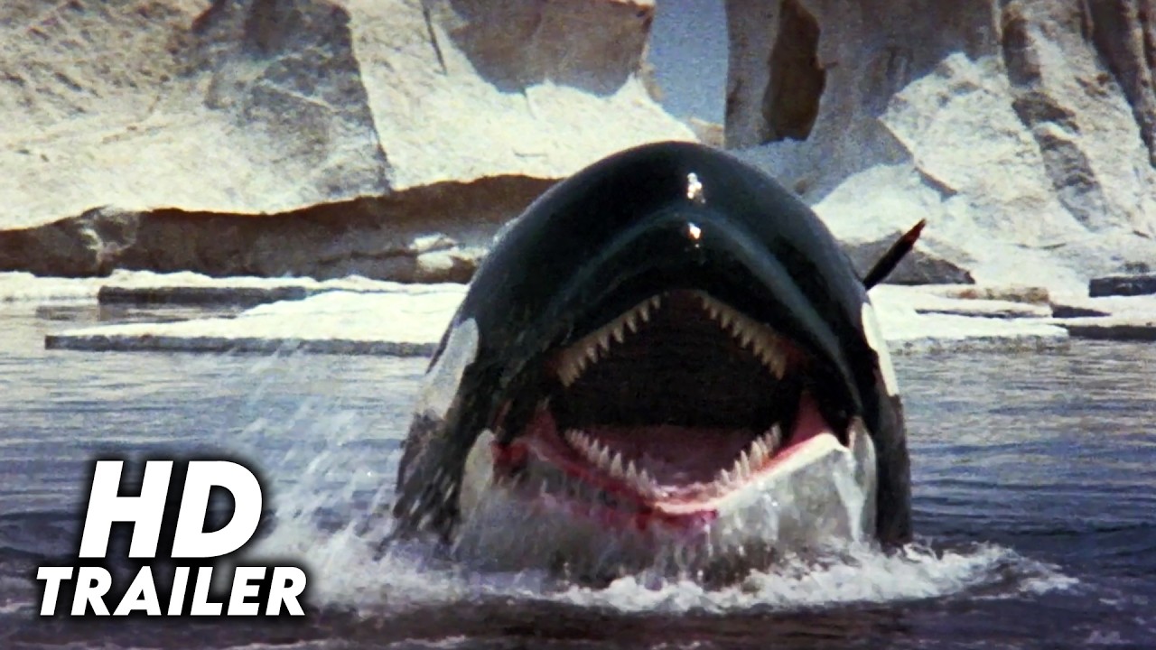 Orca