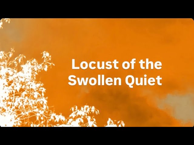 Locust of the Swollen Quiet