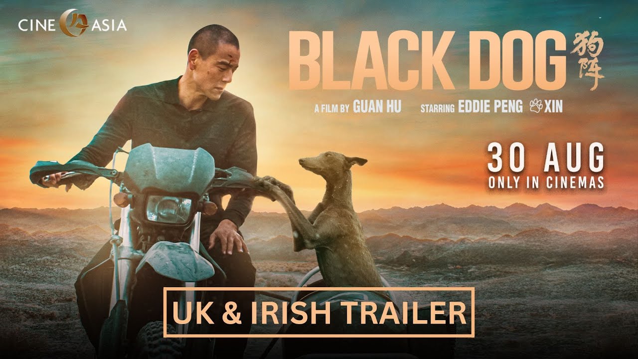 Black Dog