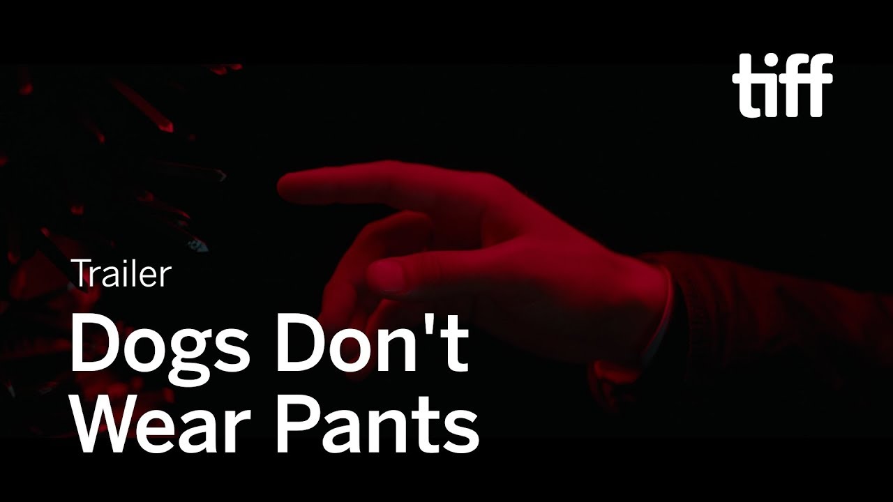 Dogs Don't Wear Pants