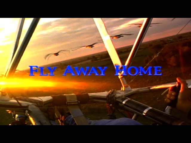 Fly Away Home