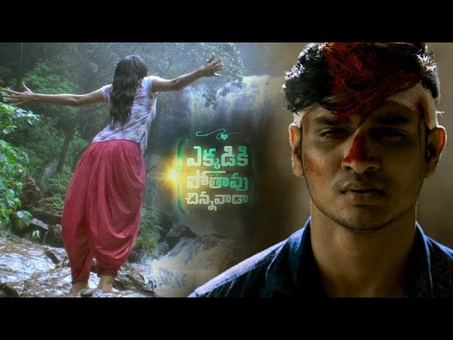 Ekkadiki Pothavu Chinnavada