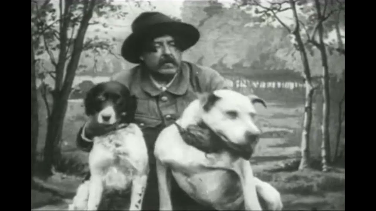 Dogs Used as Smugglers