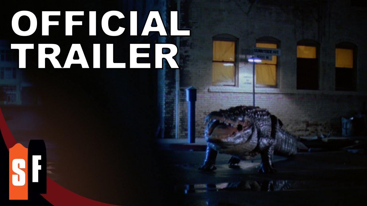 Alligator