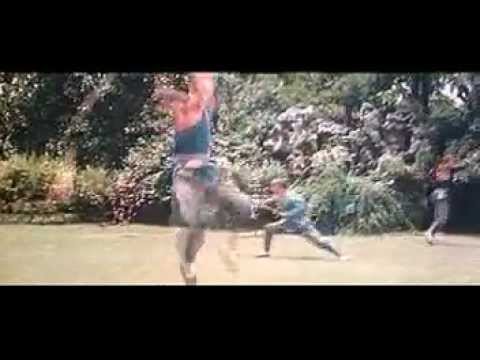 Shaolin Temple