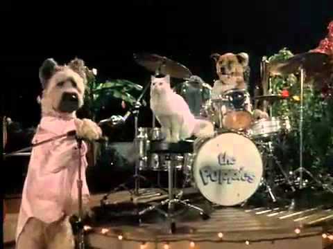 The Karate Dog