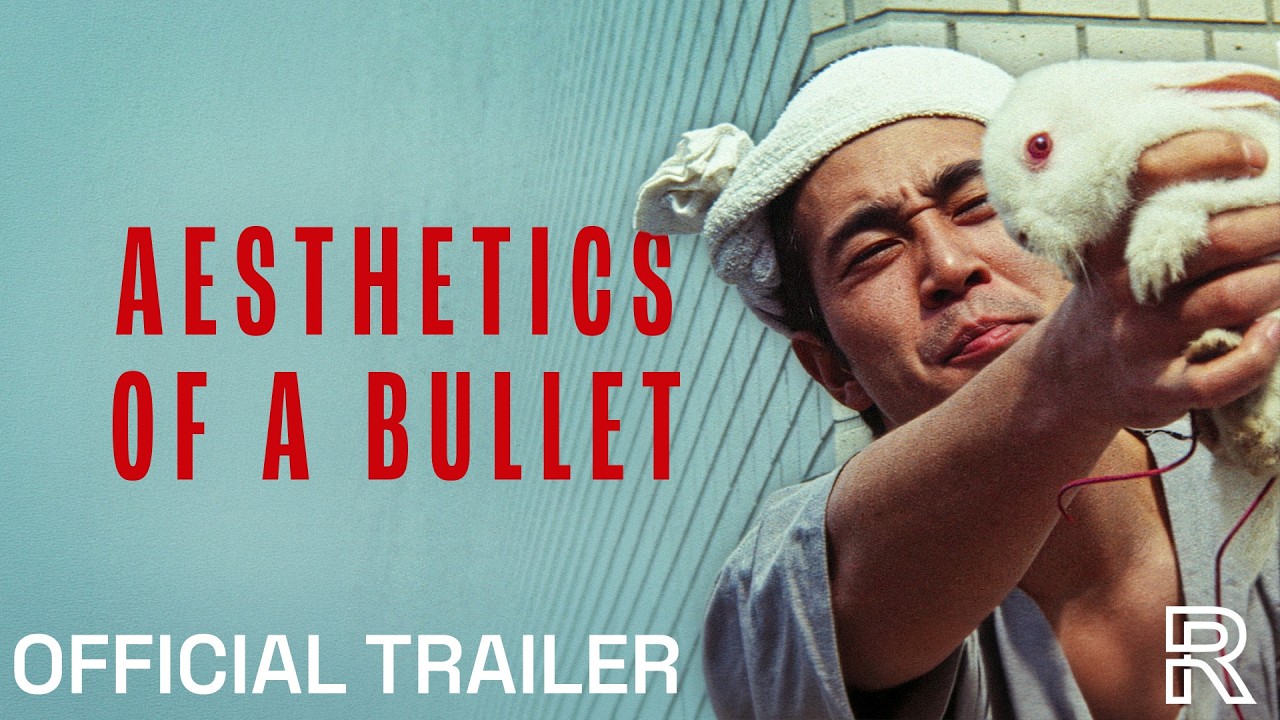 Aesthetics of a Bullet