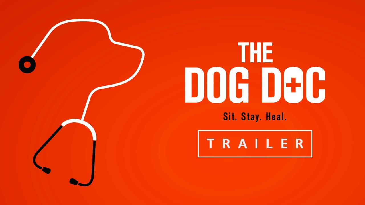 The Dog Doc