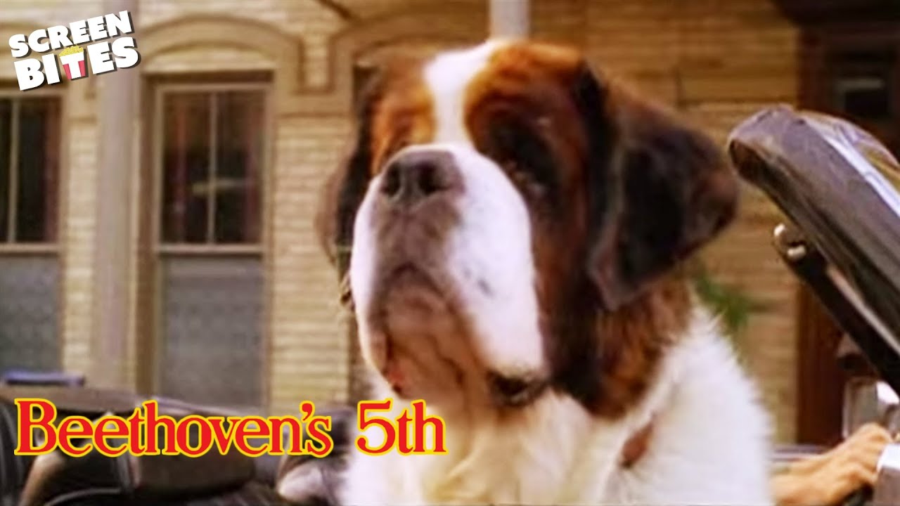 Beethoven's 5th