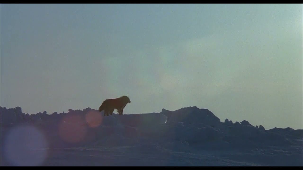 Antarctica
