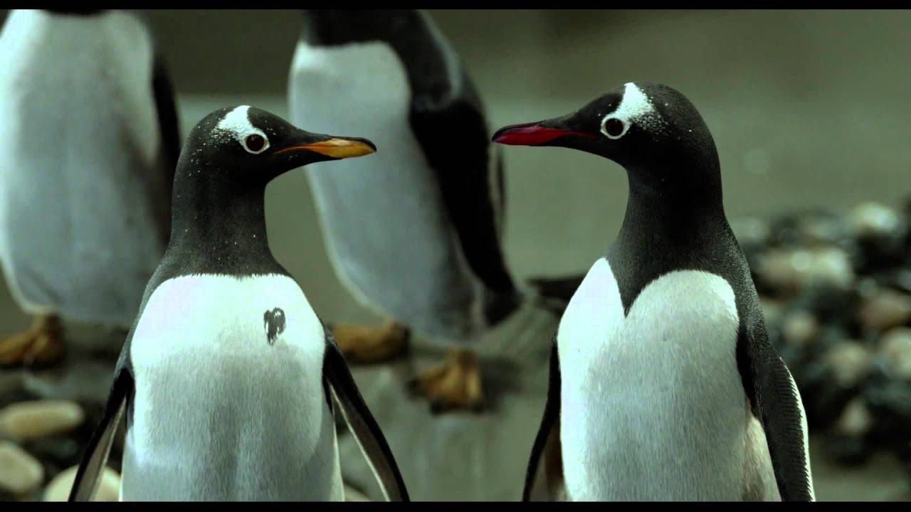 Mr. Popper's Penguins