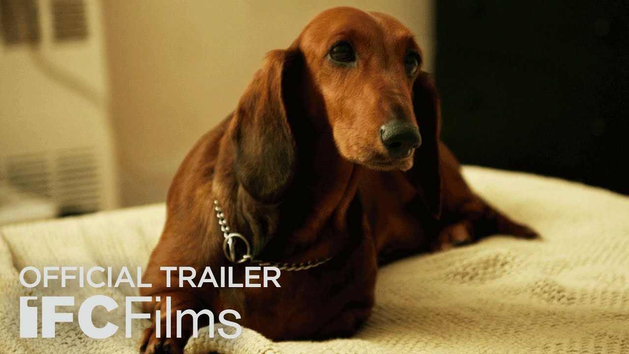 Wiener-Dog
