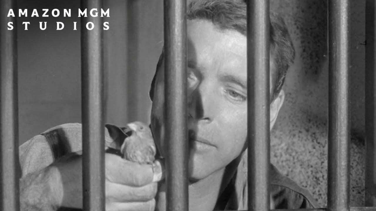 Birdman of Alcatraz