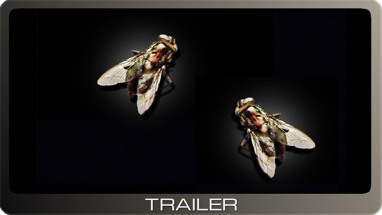 The Fly II