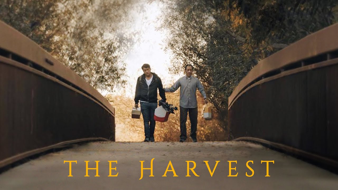 The Harvest