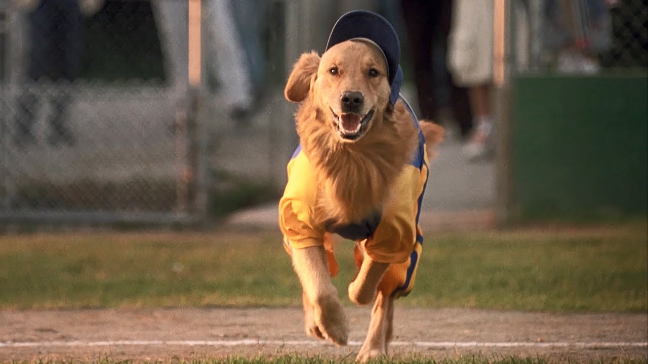 Air Bud: Seventh Inning Fetch