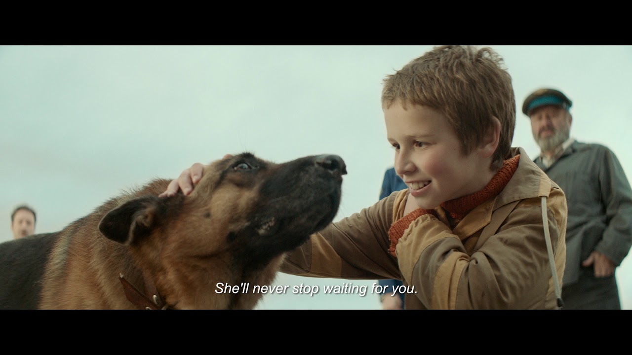 A Dog Named Palma