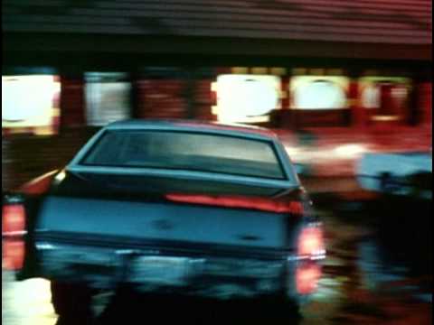 License to Drive