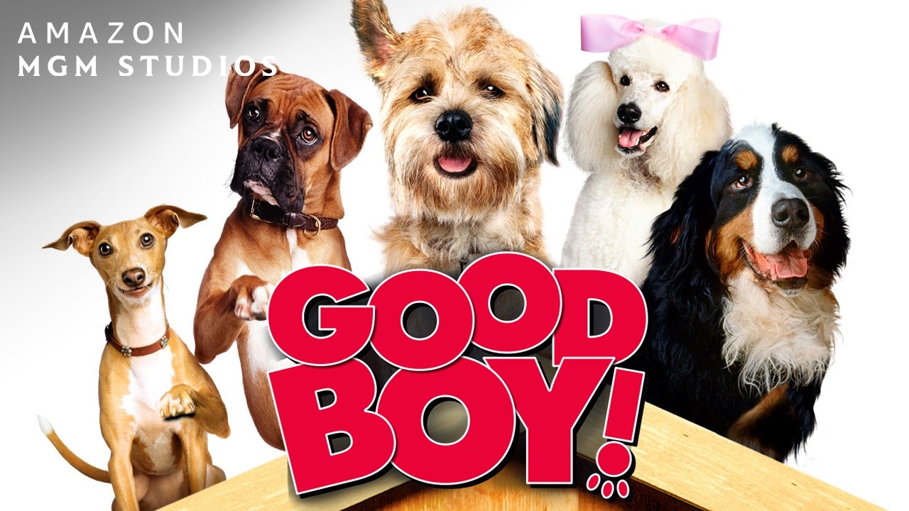 Good Boy!