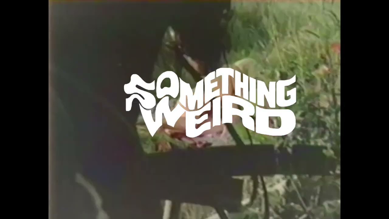 The Erotic Adventures of Zorro