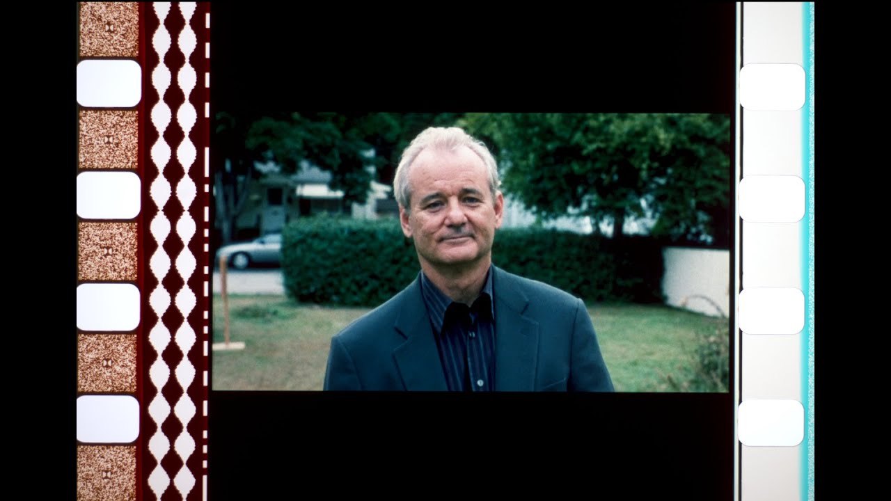 Broken Flowers