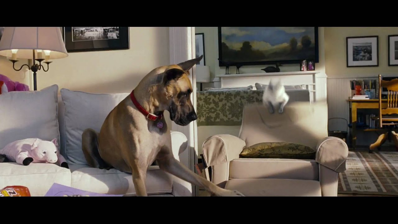 Marmaduke