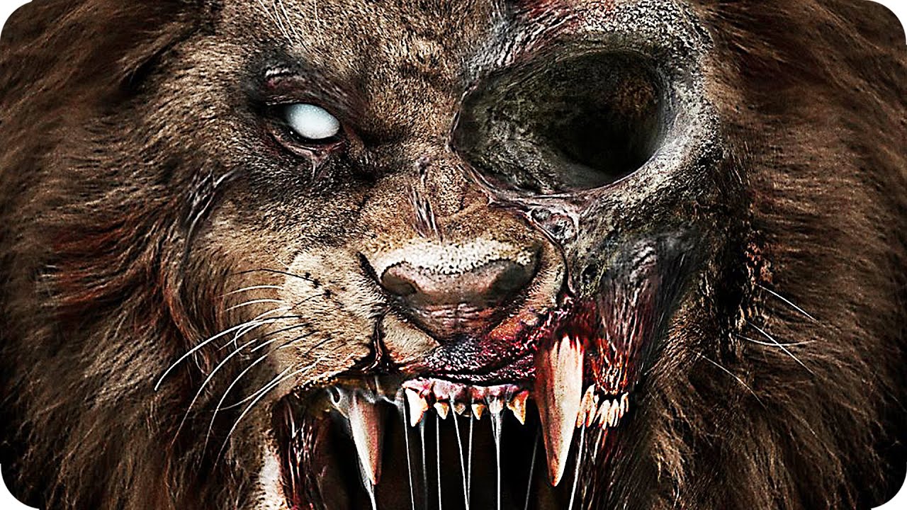 Zoombies