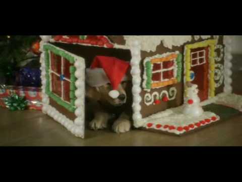 Santa Buddies