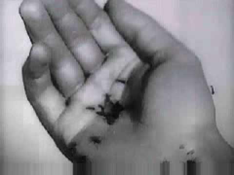 Un Chien Andalou