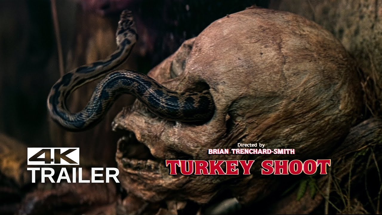 Turkey Shoot