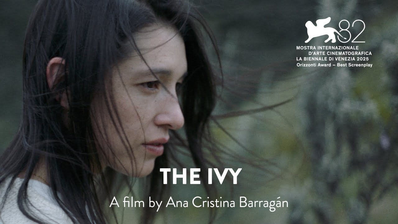 The Ivy