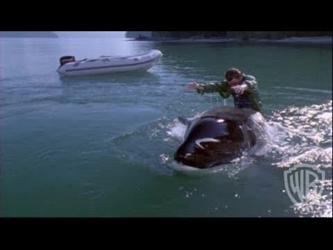 Free Willy 3: The Rescue