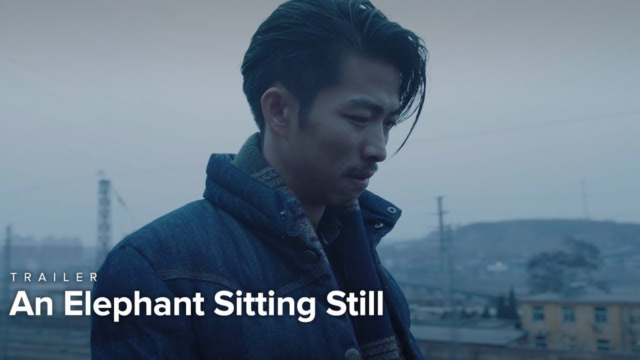 An Elephant Sitting Still