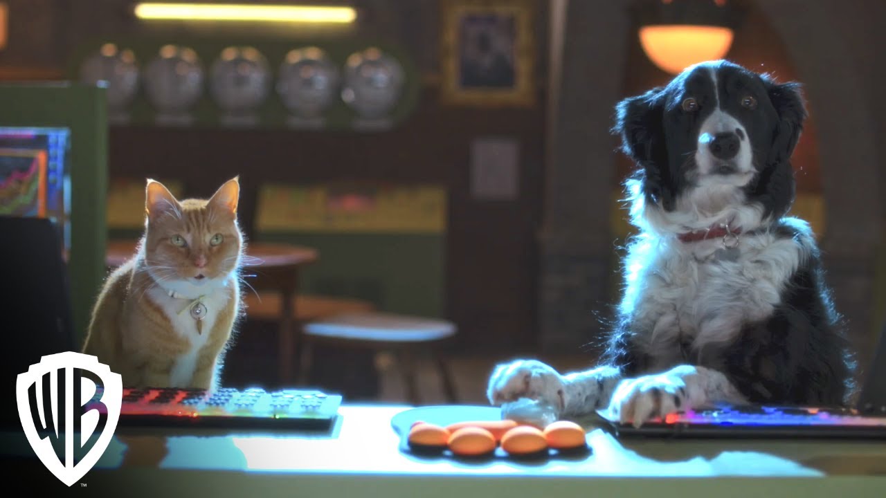 Cats & Dogs 3: Paws Unite