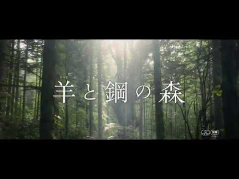 The Forest of Wool and Steel