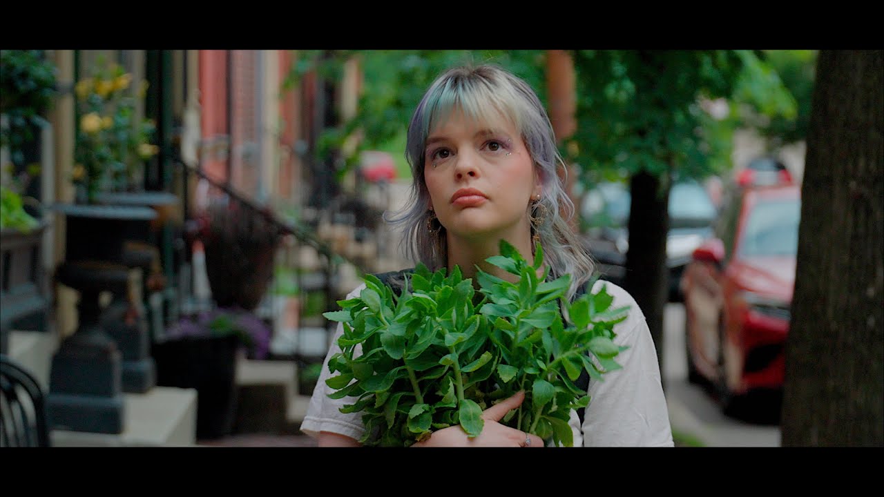 Plant