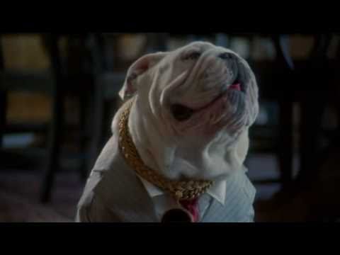 The Dogfather