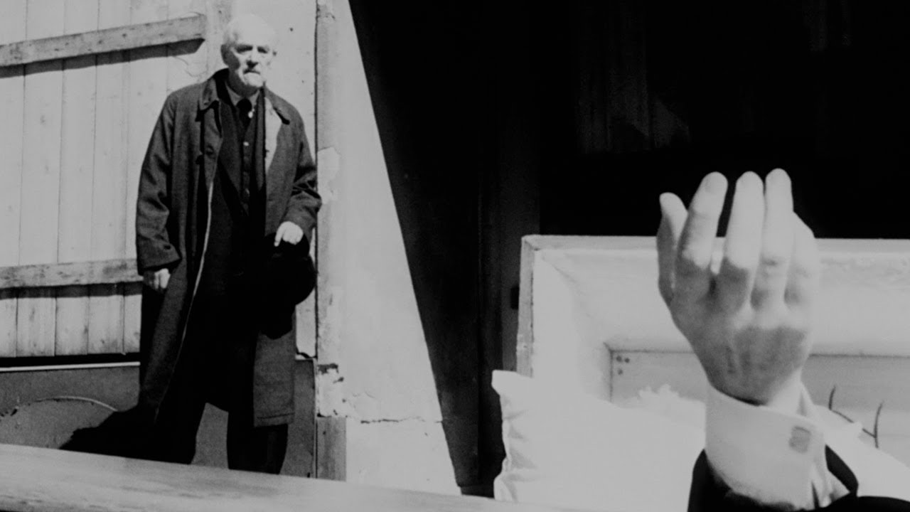 Wild Strawberries