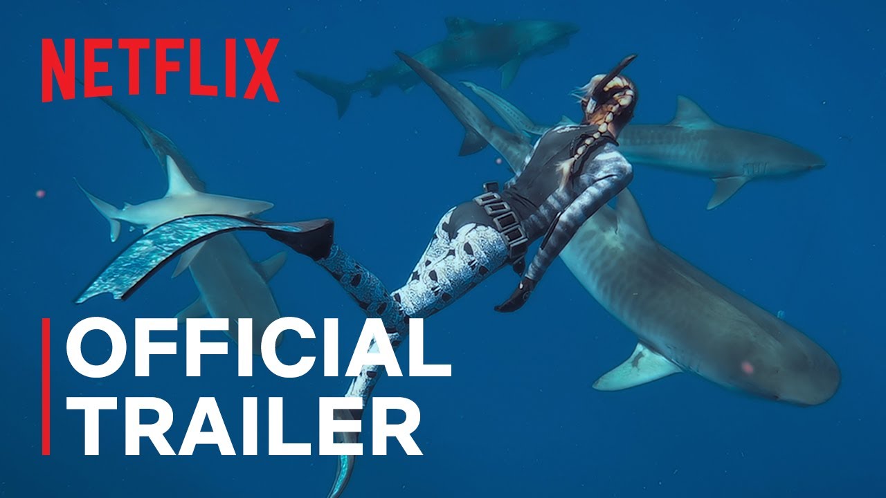 Shark Whisperer
