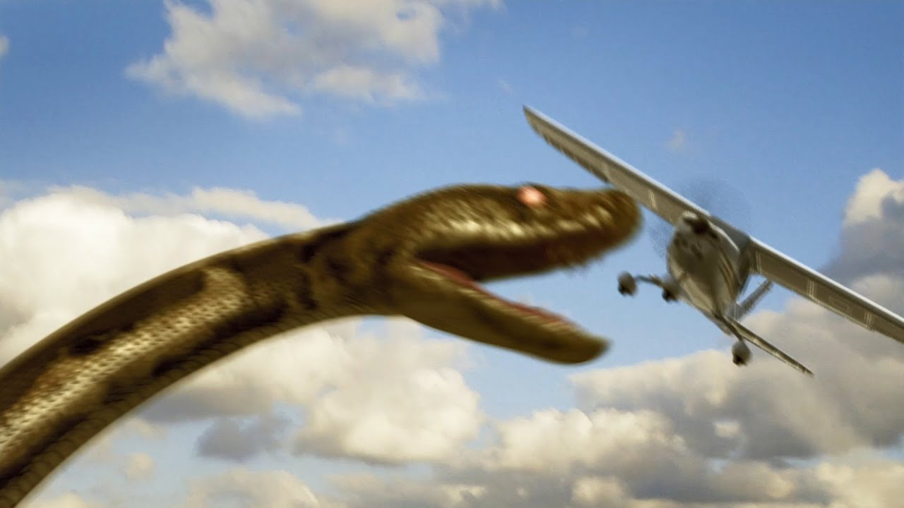 Mega Python vs. Gatoroid