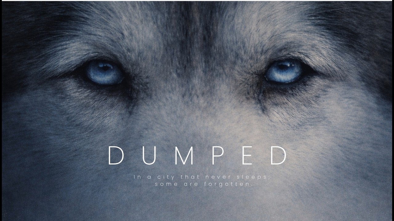 Dumped
