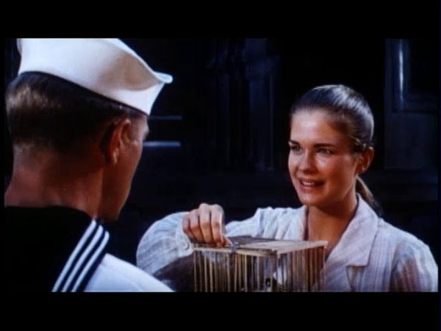 The Sand Pebbles