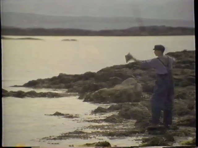 The Secret of Roan Inish
