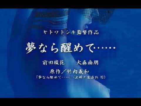 Perfect Blue: Yume Nara Samete