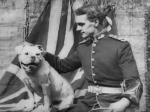 How a British Bulldog Saved the Union Jack