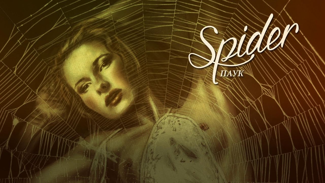 Spider