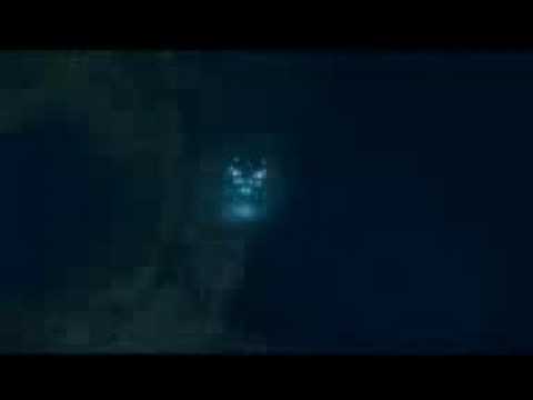 Megalodon