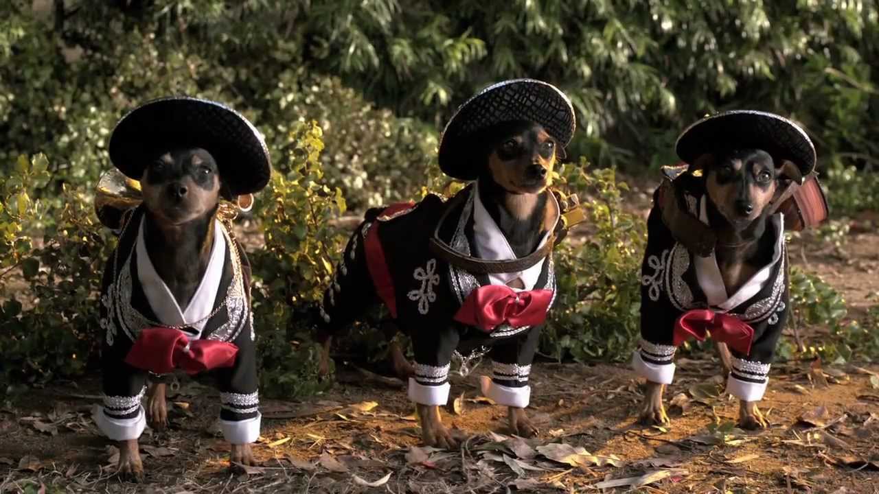 Beverly Hills Chihuahua 3: Viva la Fiesta!